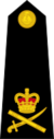Lieutenant-General