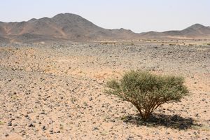 Jabal Sayid Copper Mine. - panoramio.jpg