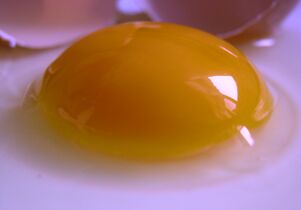 The yolk of a raw egg. The color comes from the xanthophyll carotenoids lutein and zeaxanthin
