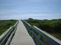 Barrier Islands boardwalk