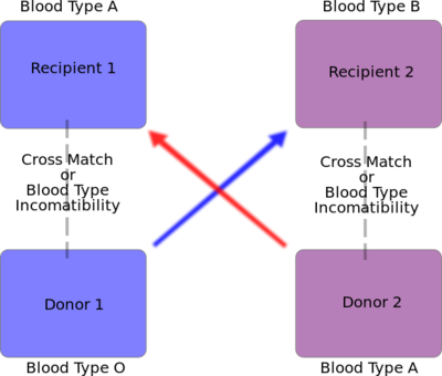 Diagram of an exchange between otherwise incompatible pairs.