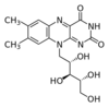 Riboflavin.svg