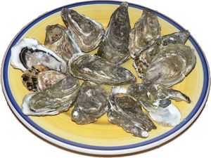 Photo of 12 oysters on plate.