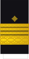 Admiral Croatian Navy[13]