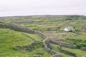 Inishmaan Gardens.JPG