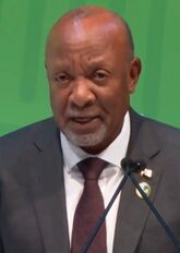 Nangolo Mbumba in 2024.jpg