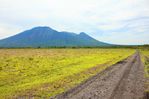 Savannah baluran.jpg