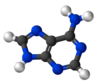 Adenine-3D-balls.png