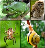 خريطة توضح موقع محافظة الشرقية في مصر