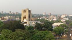 From right to left from top to bottom, Filinto Müller Mill, Imaculada Conceição Church in Antônio João Square, Mão do Brás, Old Station of Dourados-Itahum, tree-lined street with ipês, Antenor Martins Park and panoramic view of the city.