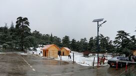 Parc national de Theniet El Had الحظيرة الوطنية لثنية الحد.jpg