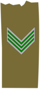 EgyptianArmyInsignia-Sergeant.svg