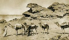 يوم التجارة باليابان. قافلة في أفريقيا. سفينة حاويات في قناة بنما