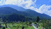 Lavender Park Pahalgam Anantnag Kashmir