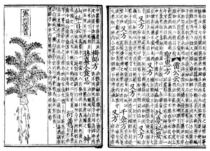 Two pages of a book printed on pieces of paper. On the left, half of the page is occupied by a line drawing of a plant. On the other half, as well as the whole of the right page, is vertically aligned text.