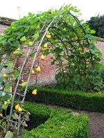 Entrance to walled kitchen garden (Norfolk, England)