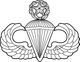 Master parachutist badge.jpg