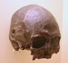Tepexpan 1.Homo Sapiens 4,700 Years Old.jpg