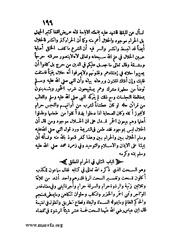 الصفحة التالية &larr;