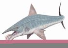 Helicoprion bessonovi1DB.jpg