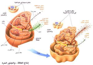 SCI96b12N4 H03 005887.jpg