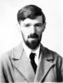 D.H. Lawrence, novelist