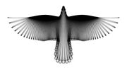 A Bird in Flight, by Hamid Naderi Yeganeh, 2016, constructed with a family of mathematical curves.