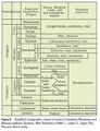 Stratigraphic column of Eastern Carpathians and Moesian Platform[20]