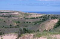 Sandy dunes with shrubs and Lake Superior in background