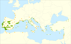 Pinus pinea range.svg