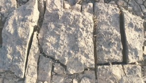 أحفورات بحرية من منطقة جازان، 27 يناير 2022.