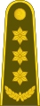 Pulkininkas'[12] (Lithuanian Land Forces)