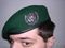 Austria-GreenBeret.jpg