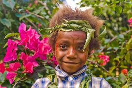 شعر بني فاتح