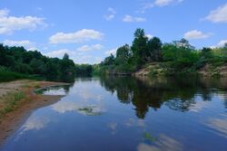 Luga River near Zhelezo geographical station.jpg