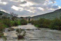 صورة من القرية.