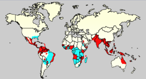 World map showing the countries where the Aedes mosquito is found, as well as those where Aedes and dengue have been reported