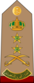 17.RSA-GEN.svg