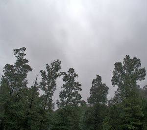 سحاب طباقي متوسط