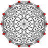 13-simplex t0.svg