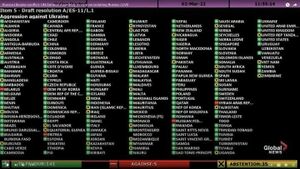 تصويت الدول على قرار ادانة روسيا