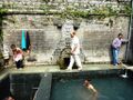 Hot Springs at Vashisht, near Manali. 2020.