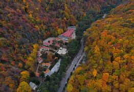 3615551 تصاویر هوایی جاده های پاییزی جنگل های هیرکانی.jpg