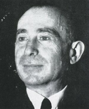 Manfred sakel.jpg