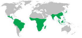 Non-human primate range.png