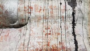 لوحة صخرية في غابات الأمازون تحتوي حيوانات وأشكال هندسية.