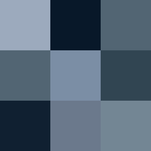 Color icon silver.svg