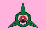 Hsinchu City flag.svg