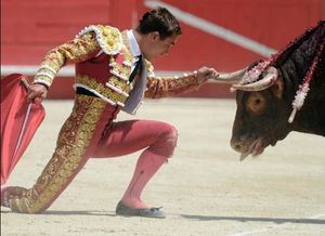 عرض لمصارعة الثيران في نيم، جنوب غرب فرنسا..