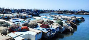 بوغاز بحيرة إدكو